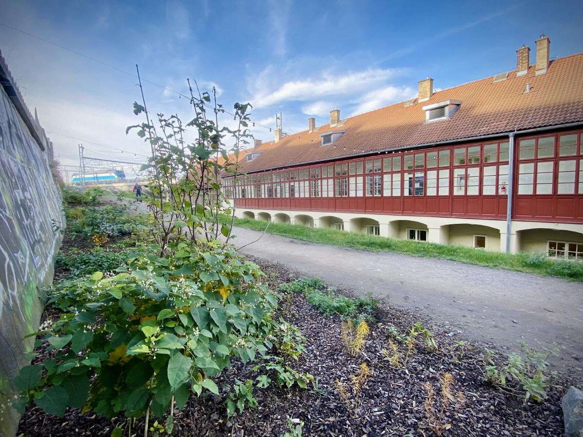 5 pražských výdejen, které mají šťávu