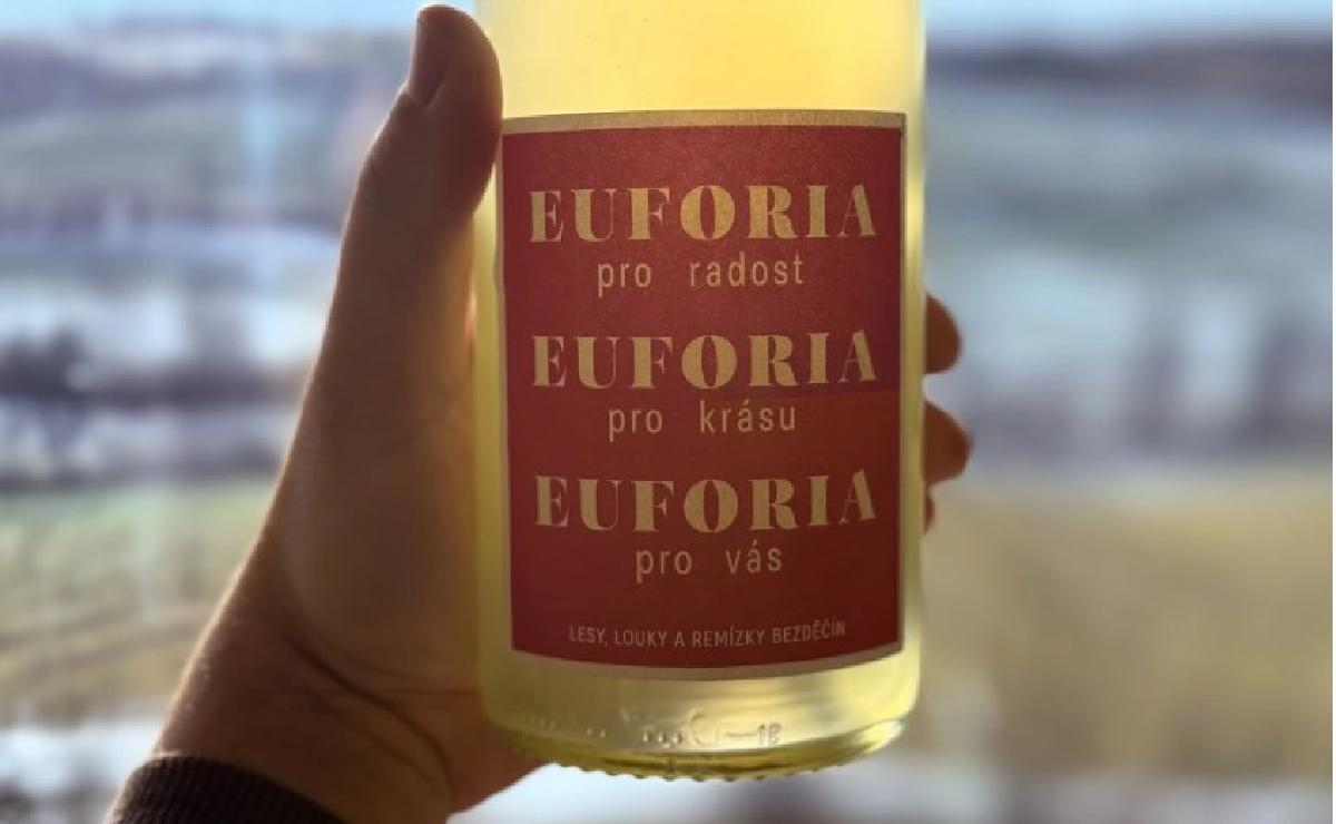 Euforie: Když se náhody mění v kouzelná propojení