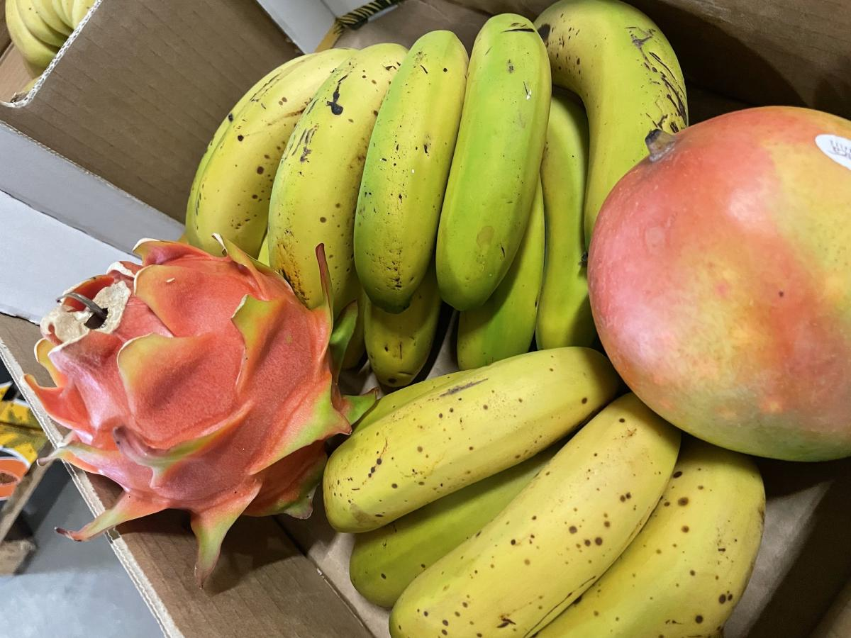 Logistická kovbojka aneb Slibem nezarmoutíš