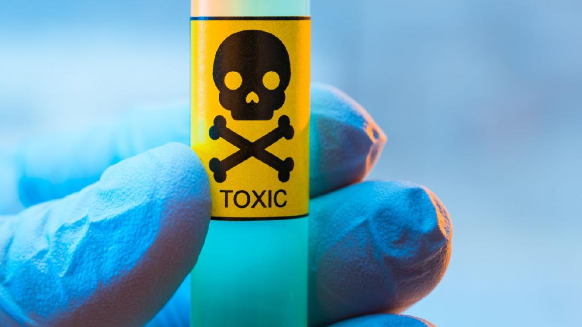 Pesticidy při pěstování citrusů a avokáda a proč bychom se jim měli vyhnout