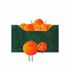 POMERANČOVÝ MIX 6 KG