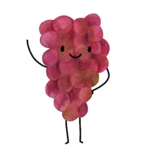 ROZINKY TMAVÉ 0,5 KG