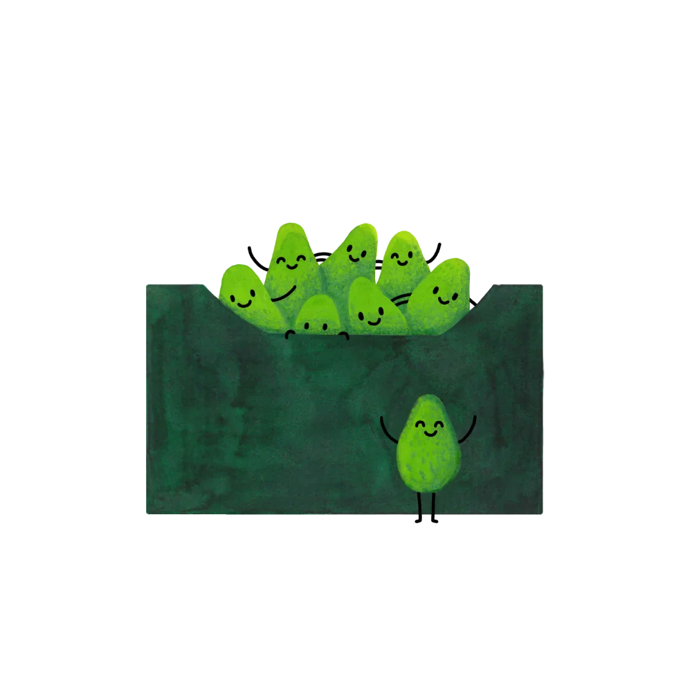 AVOKÁDOVÝ MIX 4 KG