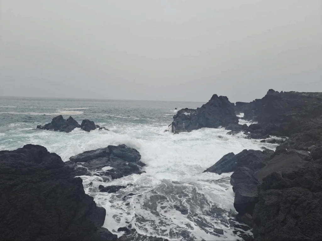 Náhledový obrázek