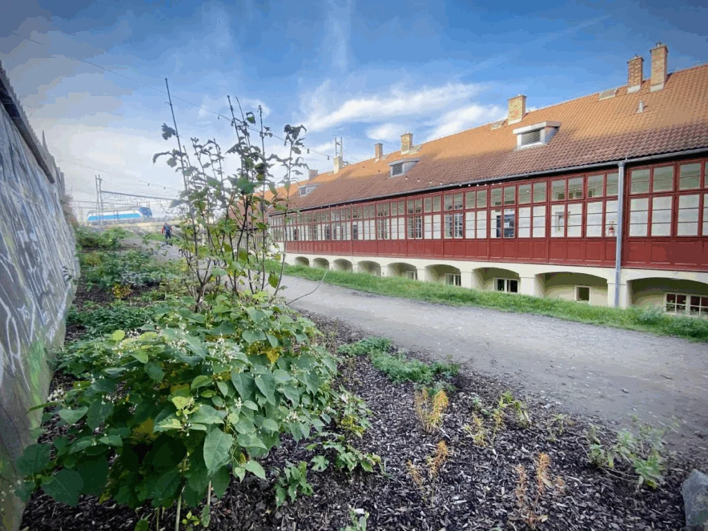 Náhledový obrázek