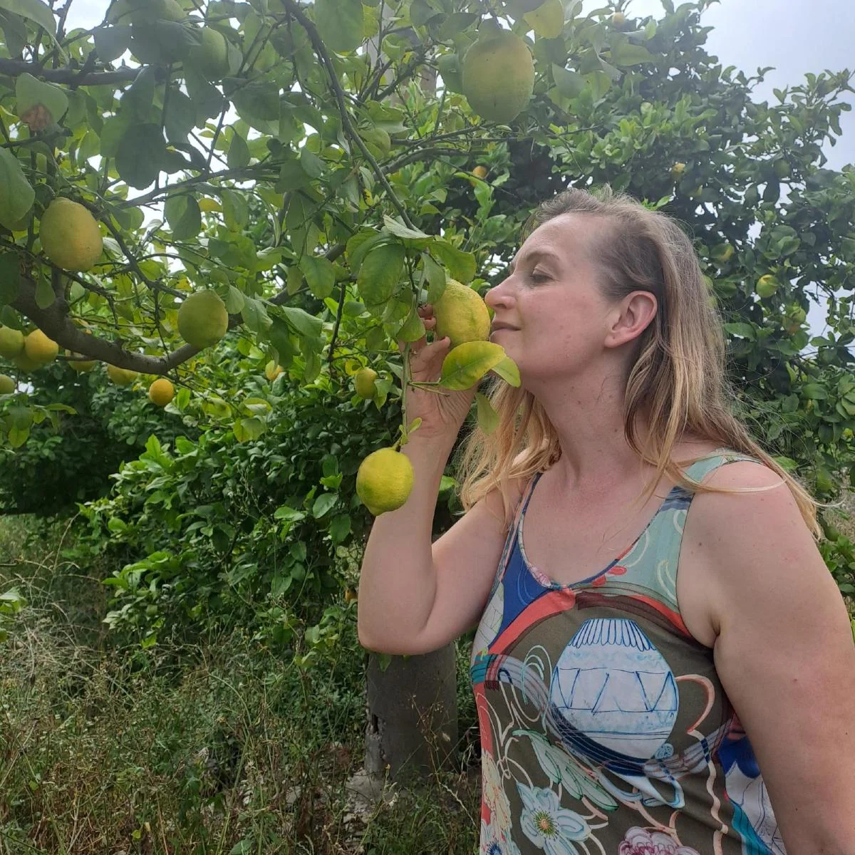 Ochutnej Řecko 2-2,5kg - Obrázek 4