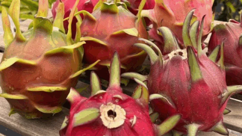 Náhledový obrázek