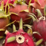 Začalo to levnou letenkou a zarostlou zahradou náhledový obrázek