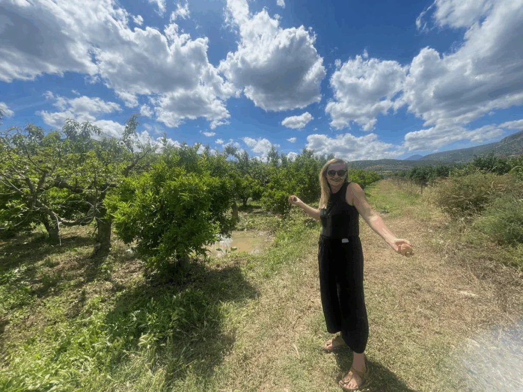 Náhledový obrázek