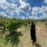 5 letošních novinek, o nichž stojí za to vědět náhledový obrázek