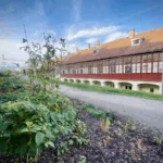 5 pražských výdejen, které mají šťávu náhledový obrázek