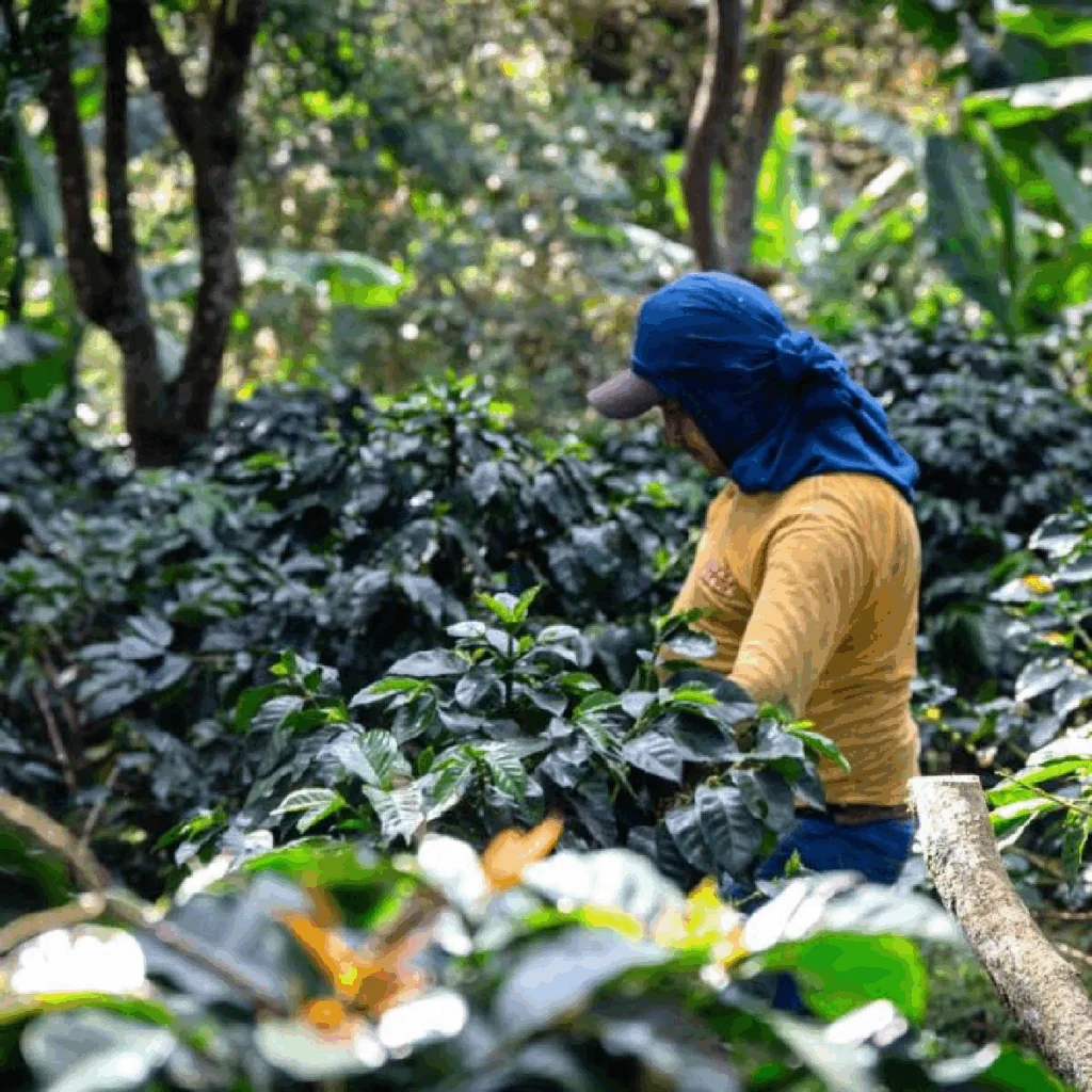 Náhledový obrázek