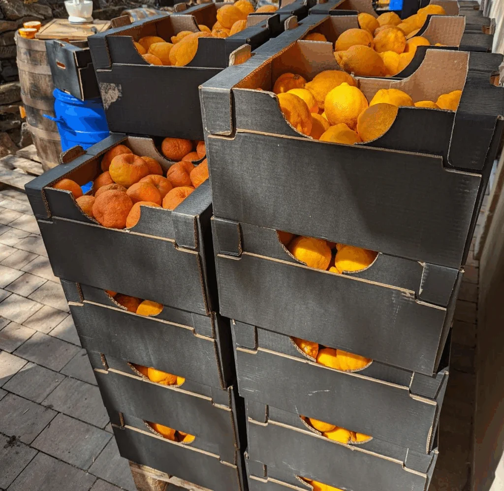 Náhledový obrázek