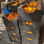 Chyba chutná hořce aneb Jak se z chyby stal jedinečný vermut náhledový obrázek