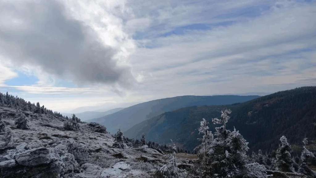 Náhledový obrázek