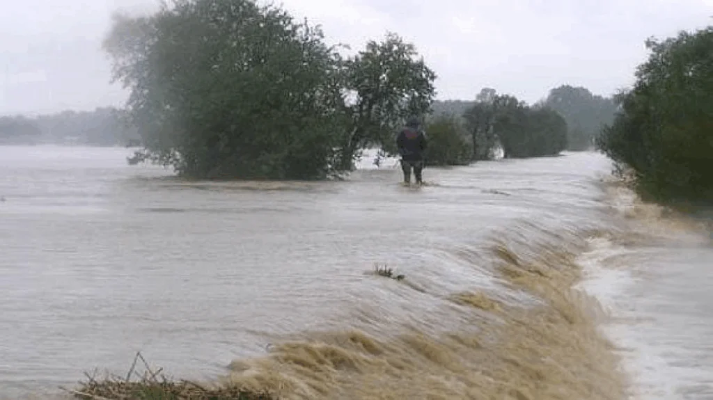 Náhledový obrázek