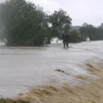 Zavěšené DOBROovoce pro Jesenicko náhledový obrázek