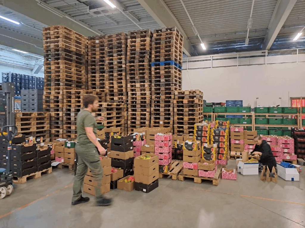 Náhledový obrázek