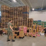 Zdravá firma i v čase krize náhledový obrázek