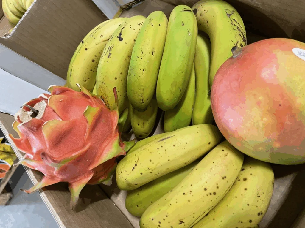 Náhledový obrázek