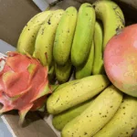 Logistická kovbojka aneb Slibem nezarmoutíš náhledový obrázek