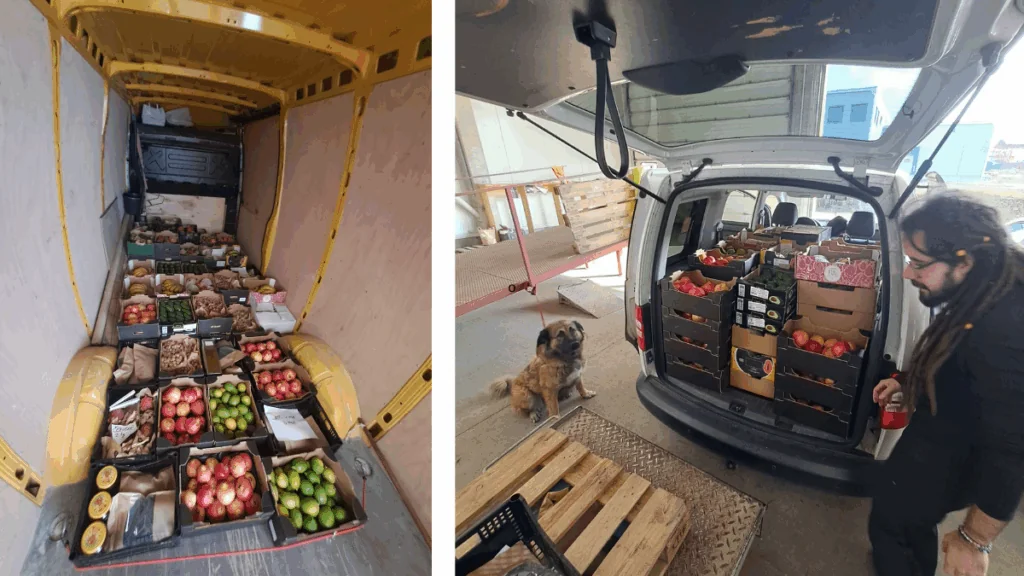 Náhledový obrázek