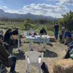 Dává to celé smysl? náhledový obrázek