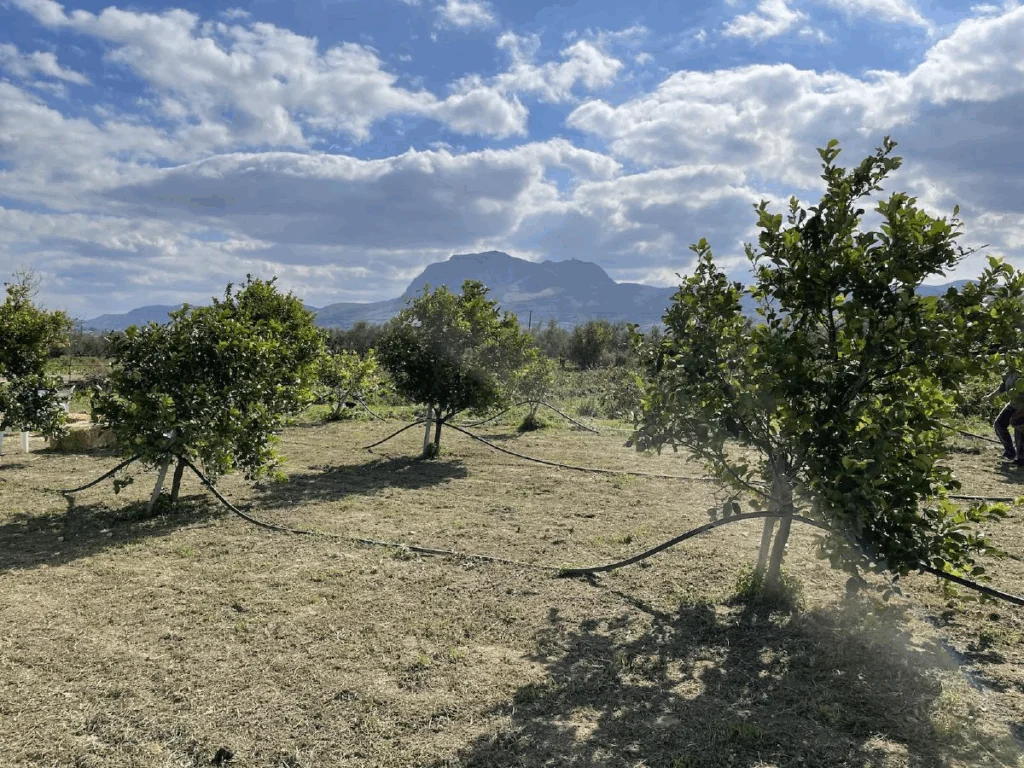 Náhledový obrázek