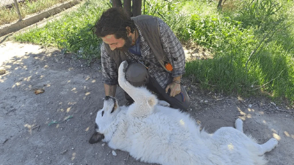 Náhledový obrázek