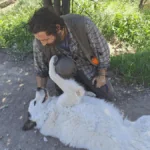 Vizionář v kostkaté košili náhledový obrázek