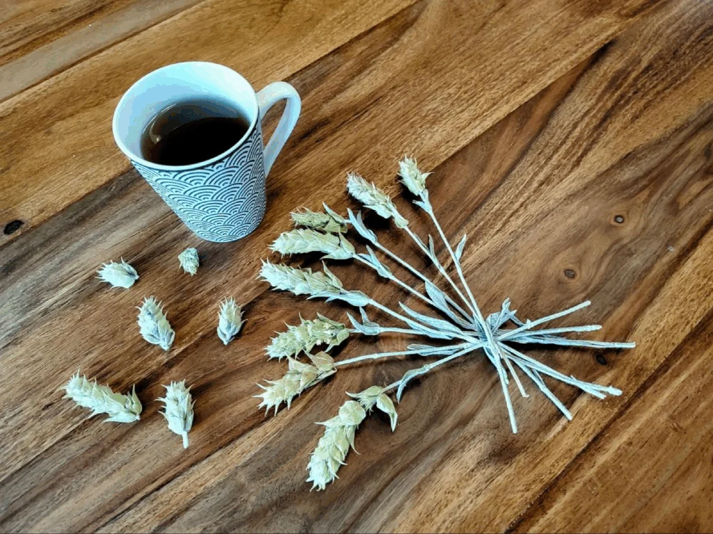 Náhledový obrázek