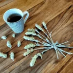 Řecký horský čaj – zázrak bohů náhledový obrázek