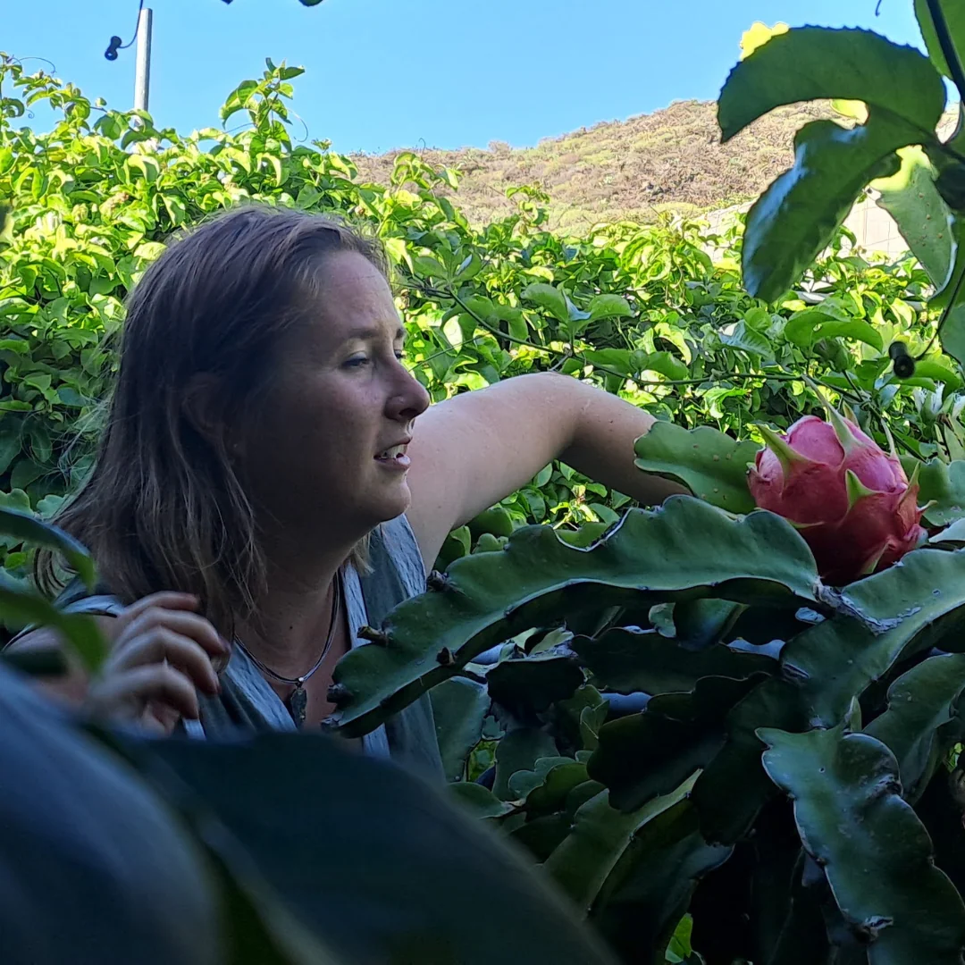 VELKÝ MIX VŠECH CHUTÍ 9KG - Obrázek 4