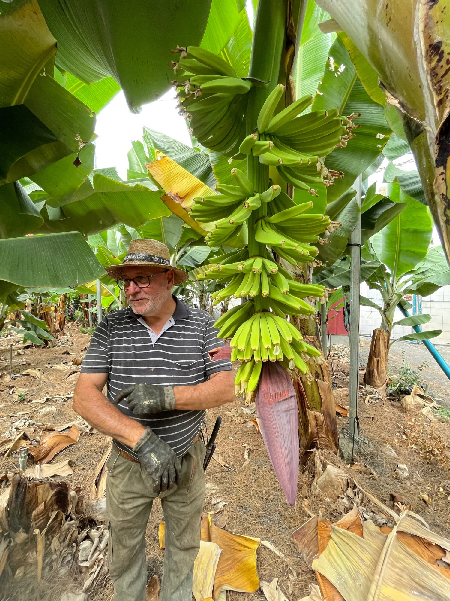 ZAŽIJ TROPY 5 KG - Obrázek 3