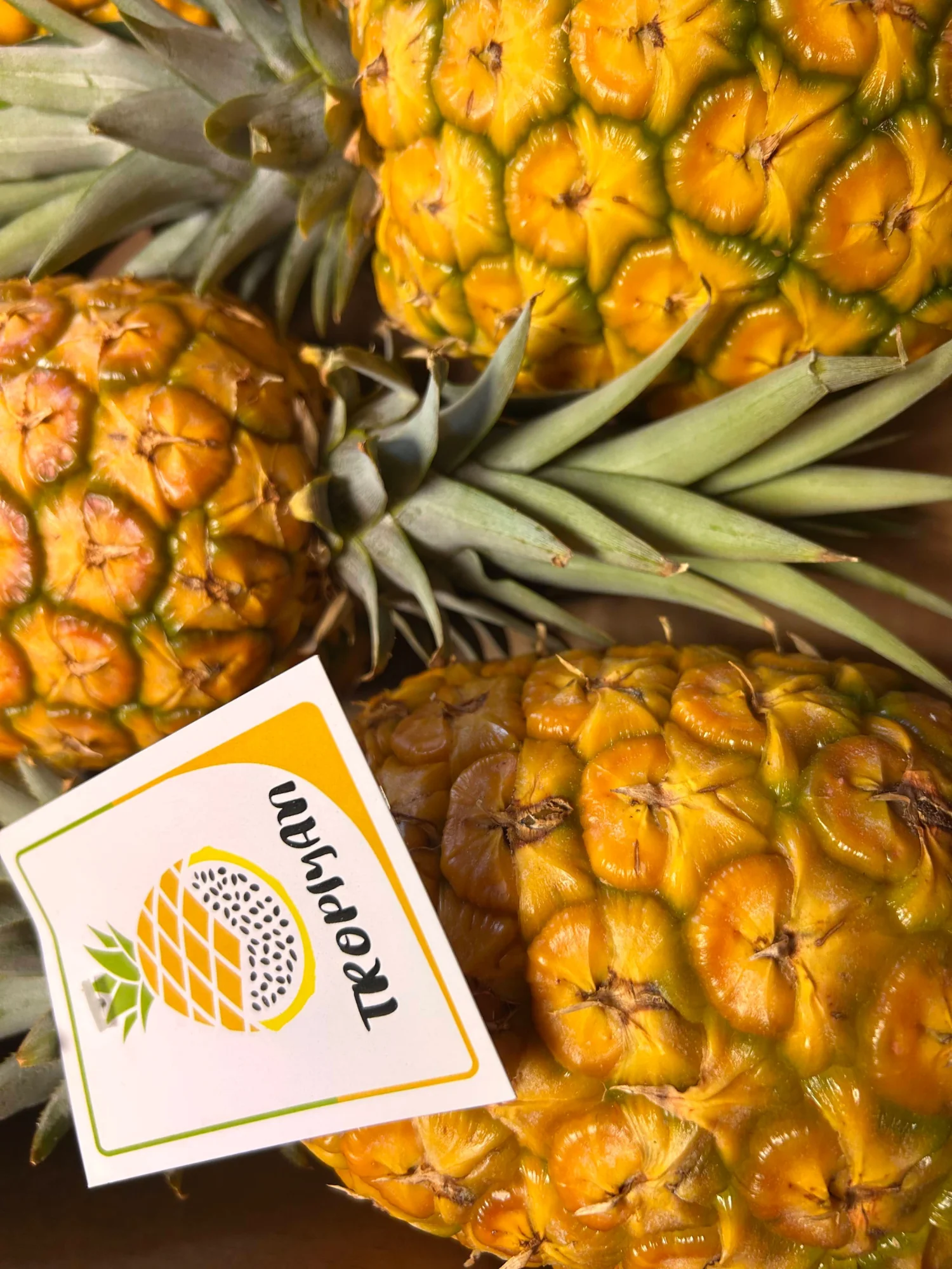 ANANAS cca 1,8KG - Obrázek 3