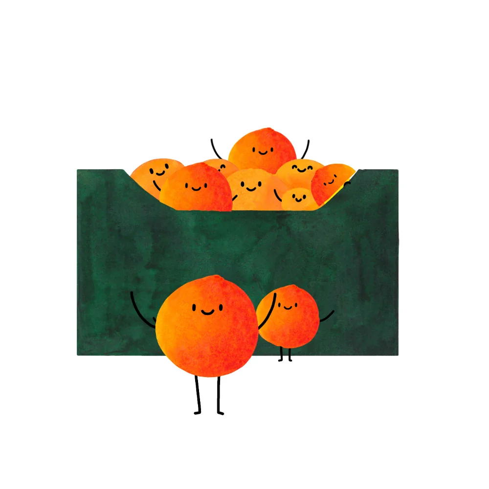 POMERANČOVÝ MIX 6 KG